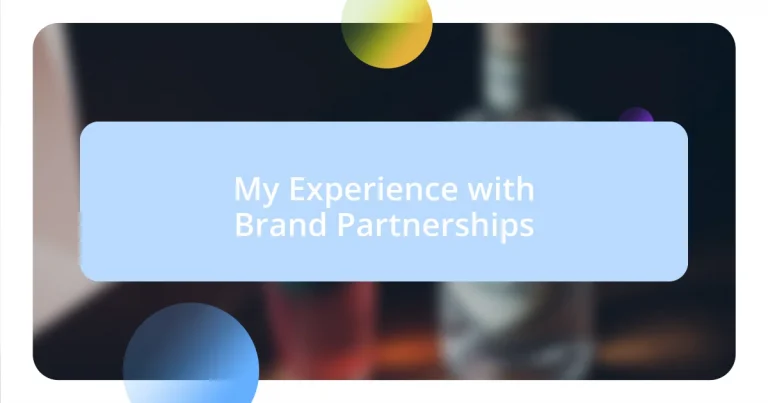 My Experience with Brand Partnerships