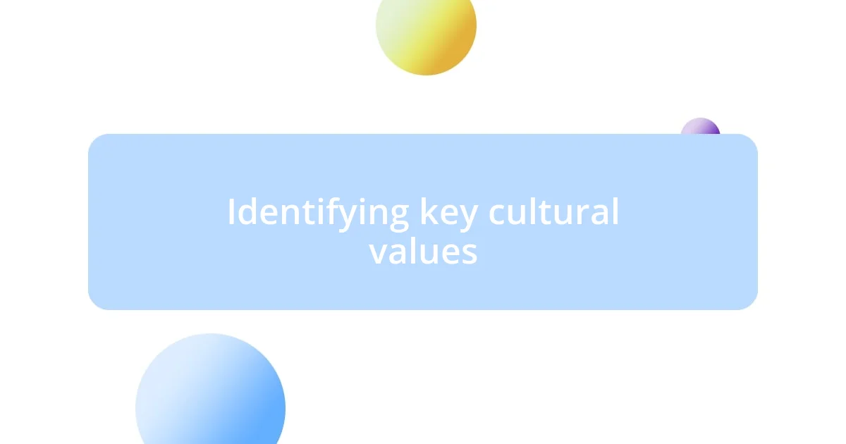 Identifying key cultural values